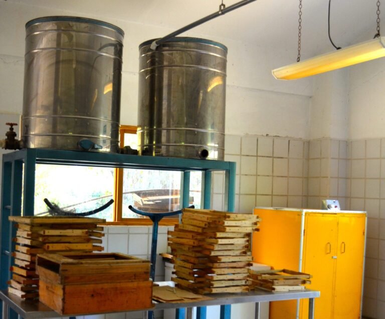 Photo of two stainless steel honey settling tanks with bottom gates on a raised stand in a tiled extraction room