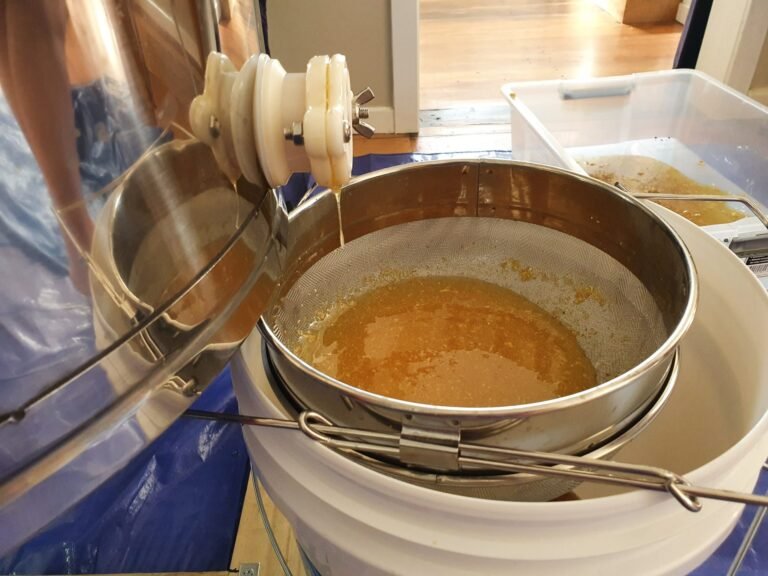 Photo of honey running from an extractor gate into a double stainless steel strainer over a bucket, with foam on top