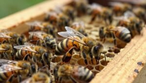 how to find a failing queen on frames