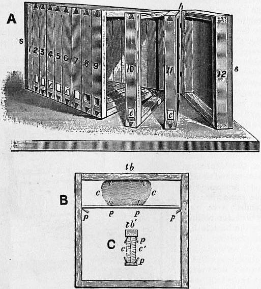 1911 engraving of Francois Huber's leaf hive, a row of hinged numbered frames that open like the pages of a book