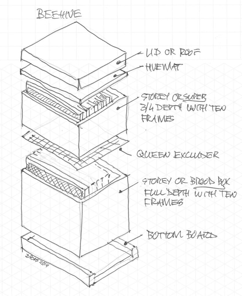 Drawing of Langstroth hive parts: lid, a three-quarter depth super, queen excluder, full-depth brood box and bottom board