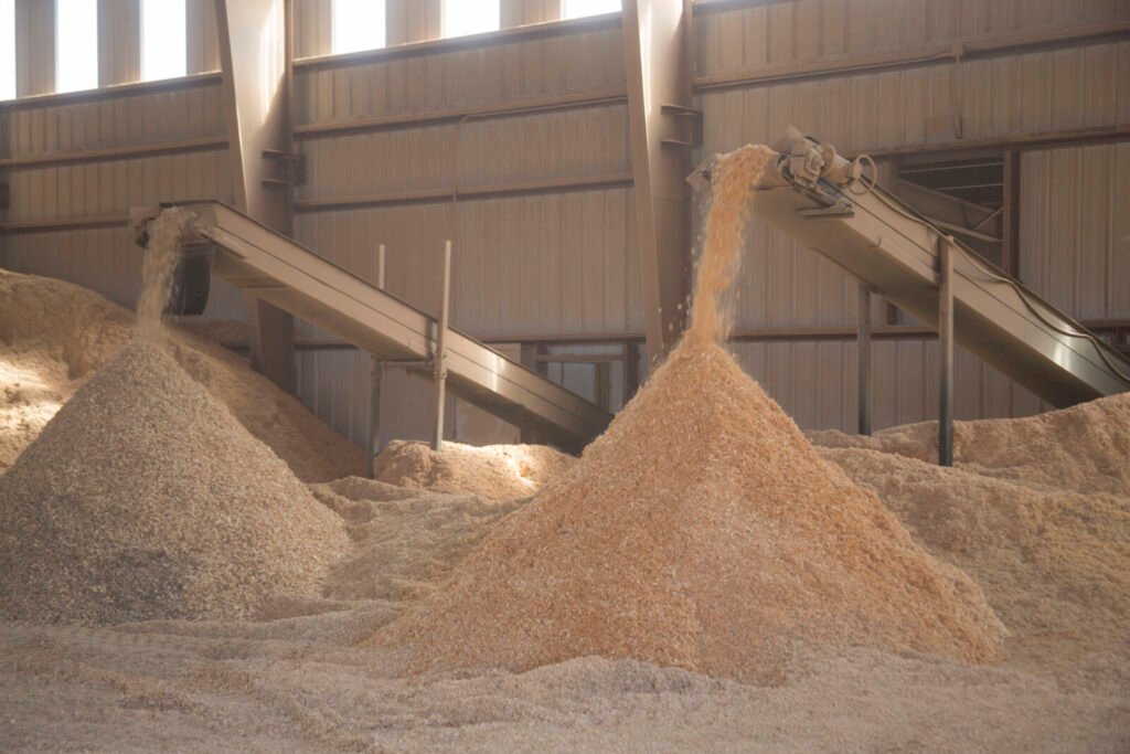 Photo of loose pine wood shavings piling up under a conveyor, the same animal-bedding product used to fill a beehive quilt box