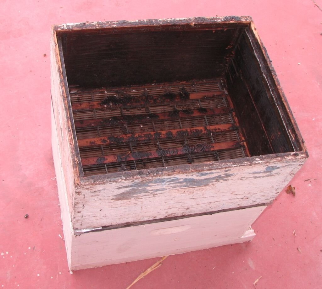 Empty hive body with a metal queen excluder fitted across its bottom, the setup used to sieve bees and trap the queen