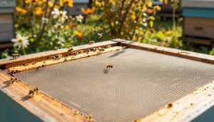 screened bottom board in winter