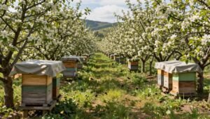 shade strategies for staging hives in orchards