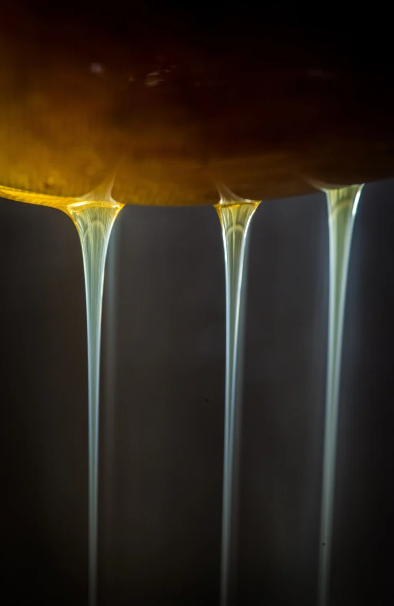 Honey being filtered through mesh screen to remove wax debris after extraction