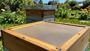 slatted rack vs screened bottom board