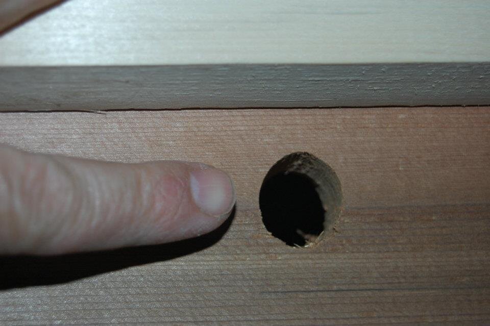 Close-up photo of a finger pointing to a round entrance hole drilled through the wooden wall of a top-bar hive