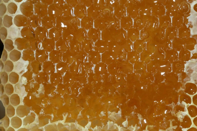 Close-up photo of freshly uncapped honeycomb, the honey in each open cell exposed to the room air