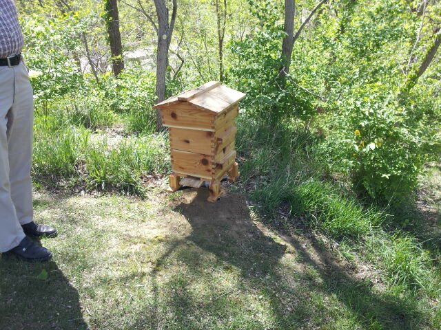 Photo of a cedar Warré hive whose shallow quilt sits between the top box and the gabled roof, the design the modern quilt box copies