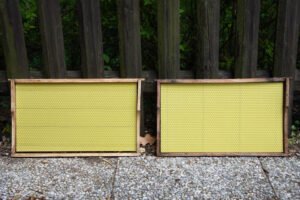 Photo of two wooden hive frames fitted with fresh yellow beeswax foundation sheets, leaning on a fence