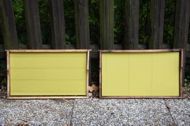 Photo of two wooden hive frames fitted with fresh yellow beeswax foundation sheets, leaning on a fence