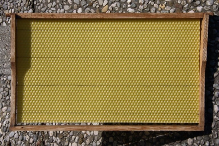 Photo of a wooden brood frame fitted with a wired sheet of beeswax foundation embossed with hexagonal cell bases