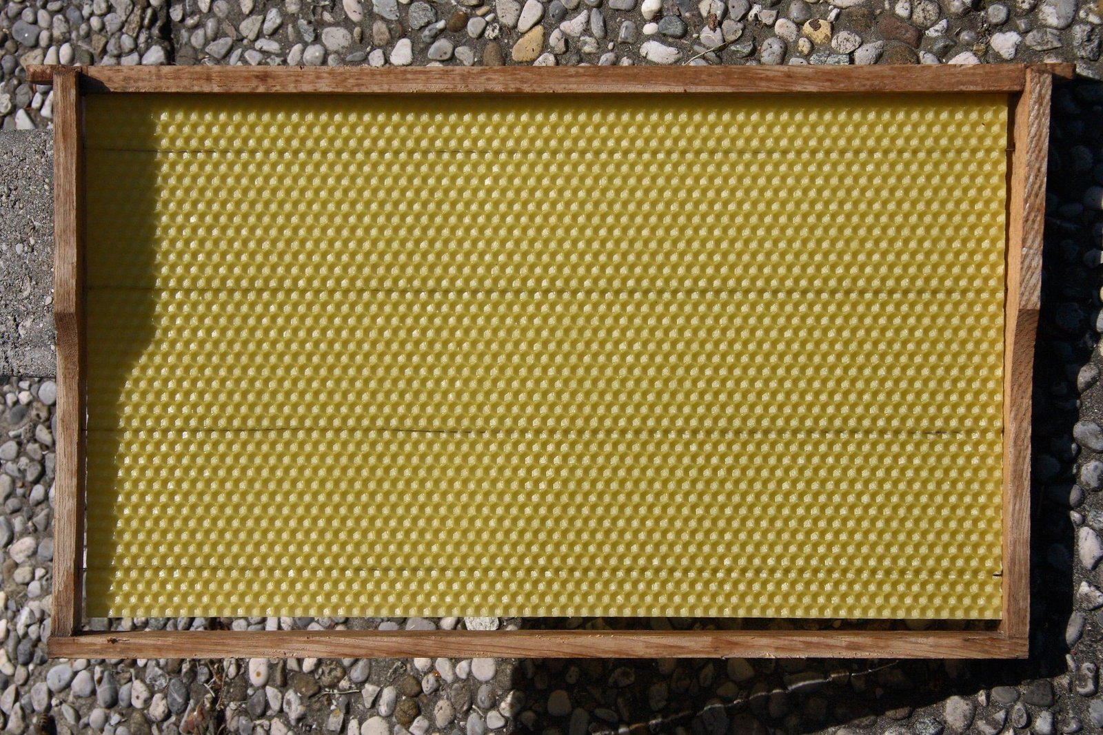 Photo of a wooden brood frame fitted with a wired sheet of beeswax foundation embossed with hexagonal cell bases