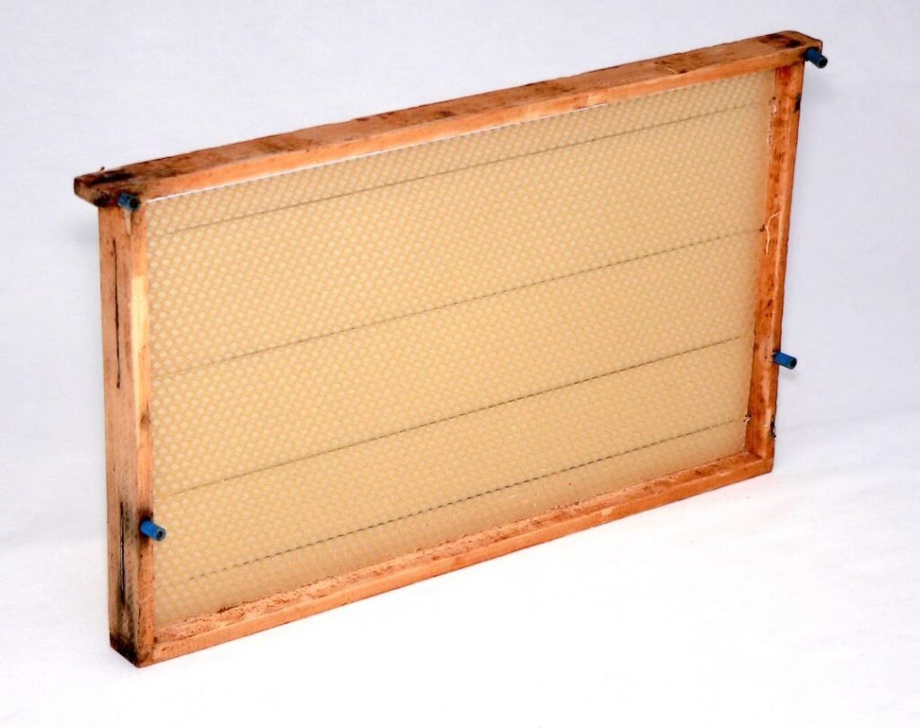 Photo of a wooden beehive frame fitted with a sheet of embossed beeswax foundation held by horizontal wires
