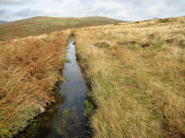 Open Dartmoor moorland, the isolated terrain type Brother Adam used for his controlled drone-mating breeding station starting in 1925