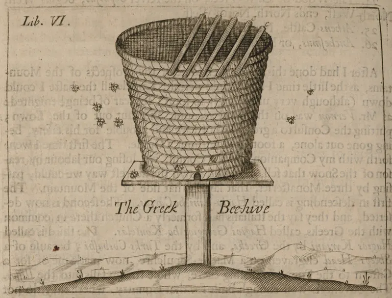 Seventeenth-century engraving of a round wicker Greek beehive with wooden bars across its top, standing on a post