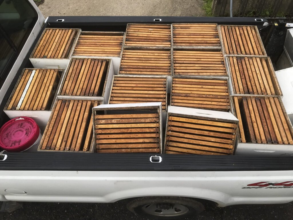Fresh hive boxes loaded for spring colonies at the USDA ARS Bee Research Lab in Beltsville, Maryland, the kind of federal apiculture research infrastructure the colony loss survey grew out of