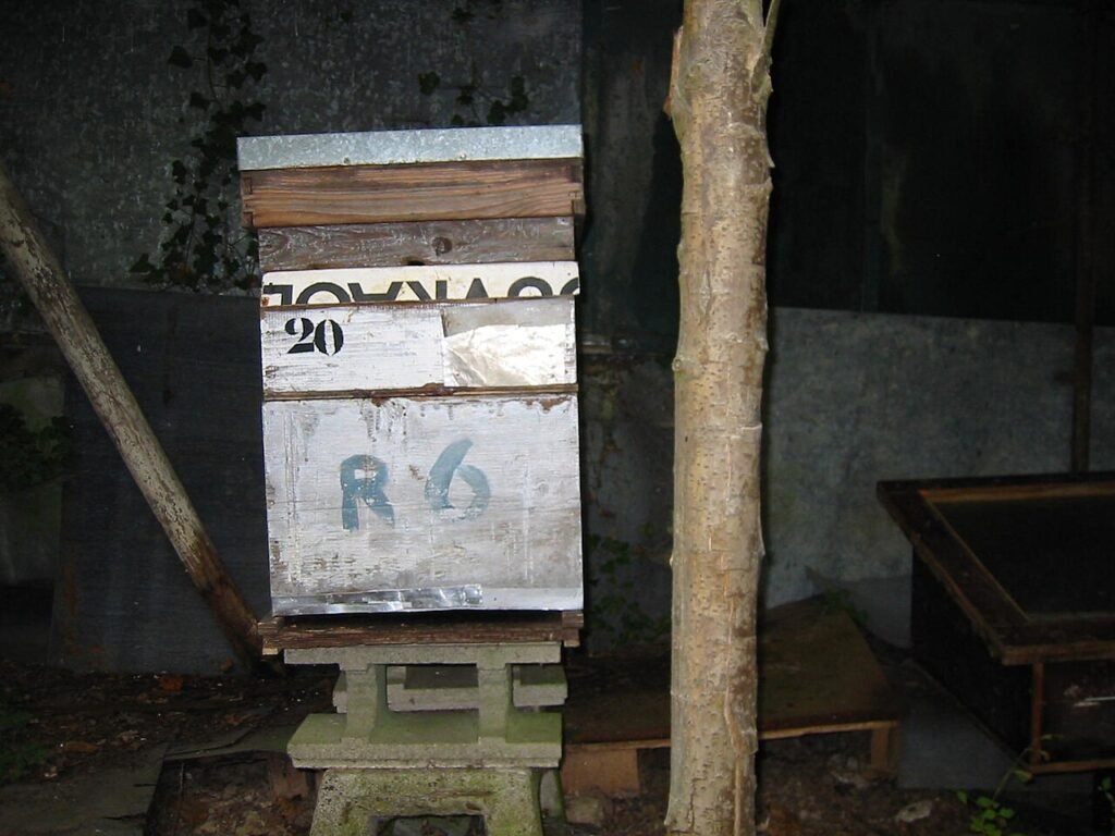 Ruche Dadant traditionnelle en bois avec sa hausse installee dans un rucher