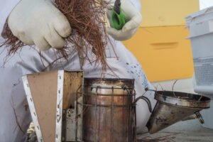 A beekeeper tending a residential backyard hive, the kind of setup worth introducing to neighbors before installation