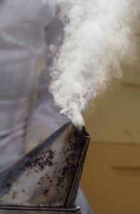 A beekeeper inspecting a managed colony, the kind of European-stock management some Arizona cities expect given local Africanized bee genetics