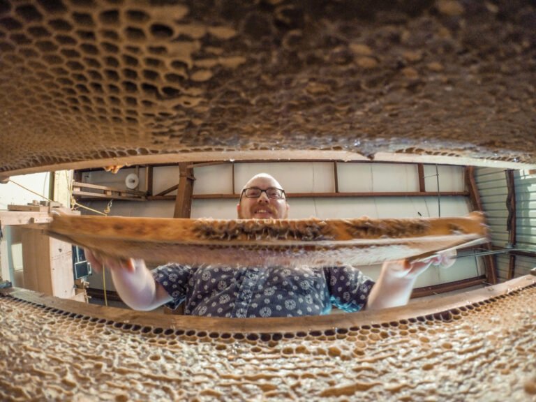 A beekeeper checking hive frames, the kind of record-keeping-required setup Michigan law covers even without mandatory registration