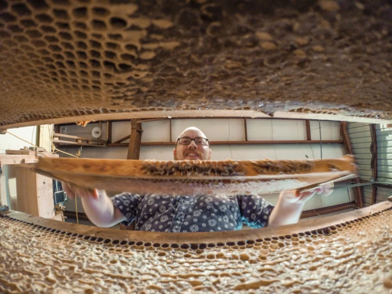 A beekeeper checking hive frames, the kind of record-keeping-required setup Michigan law covers even without mandatory registration
