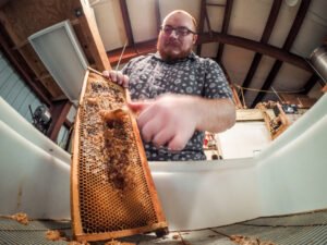 A beekeeper working an apiary, the kind of setup Virginia leaves largely to local ordinance rather than a single statewide rule
