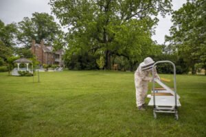 A beekeeper harvesting honey from a managed hive, the kind of registered colony Tennessee law requires every beekeeper to report to the state.