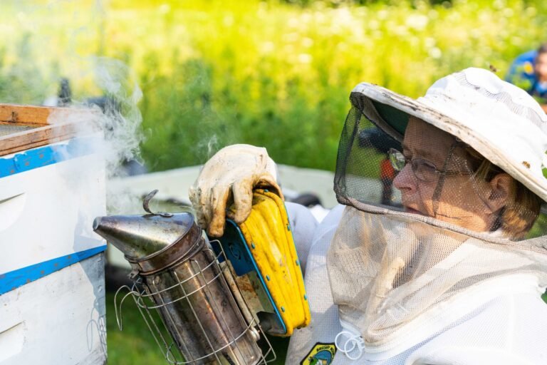 A beekeeper inspecting hives at a registered apiary, the kind of setup Illinois requires GPS-coordinate registration for