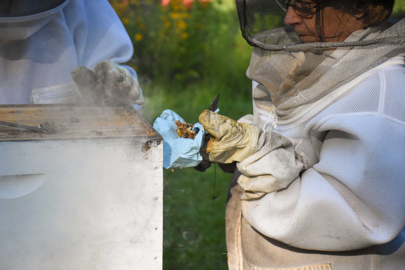 A beekeeper managing frames in a hive on rural property, the kind of actively managed apiary that can support an agricultural property tax exemption application.