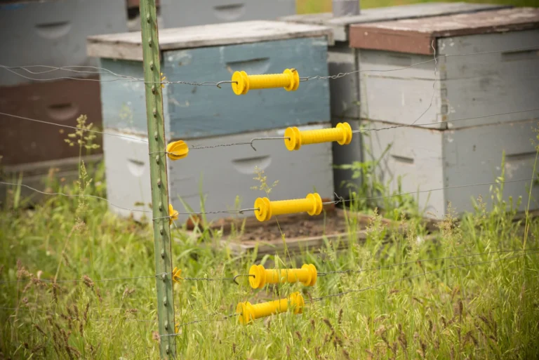 Rows of beehives at a registered apiary, similar to those Kansas beekeepers register with the Kansas Department of Agriculture