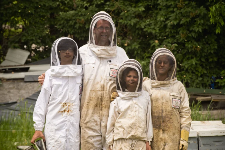 Beehives at an apiary, relevant to Rhode Island beekeeping regulations