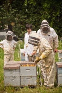 A family-run apiary, relevant to introducing kids to beekeeping through books and hands-on experience