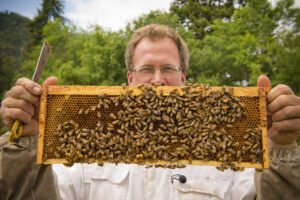 Registered apiary hives similar to those required to be registered under Connecticut beekeeping law, USDA NRCS photo