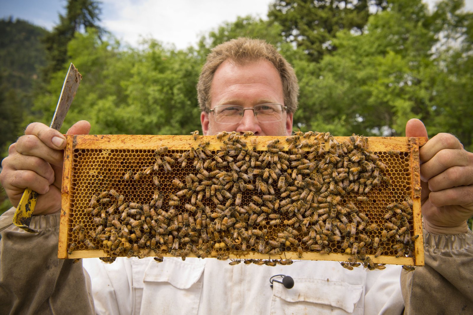 Registered apiary hives similar to those required to be registered under Connecticut beekeeping law, USDA NRCS photo