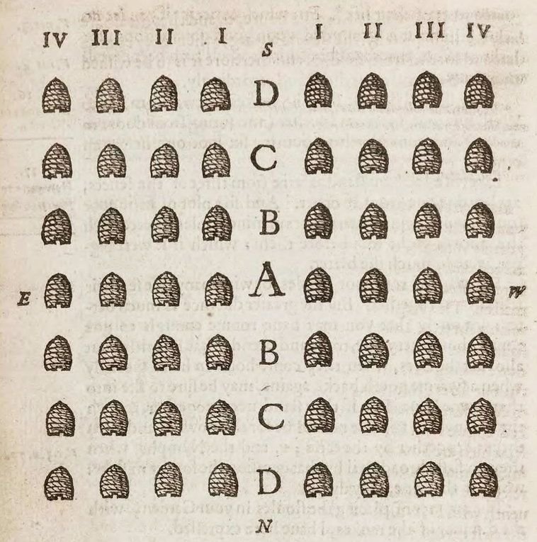 Woodcut illustration from the 1623 edition of The Feminine Monarchie showing rows of skep beehives arranged in a numbered diagram
