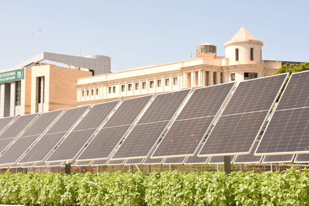 Elevated solar panel arrays over farmland in an agrivoltaic field in Israel, a design that can also host pollinator plantings