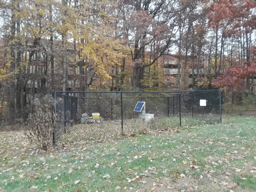 Managed apiary similar to those Minnesota city ordinances regulate