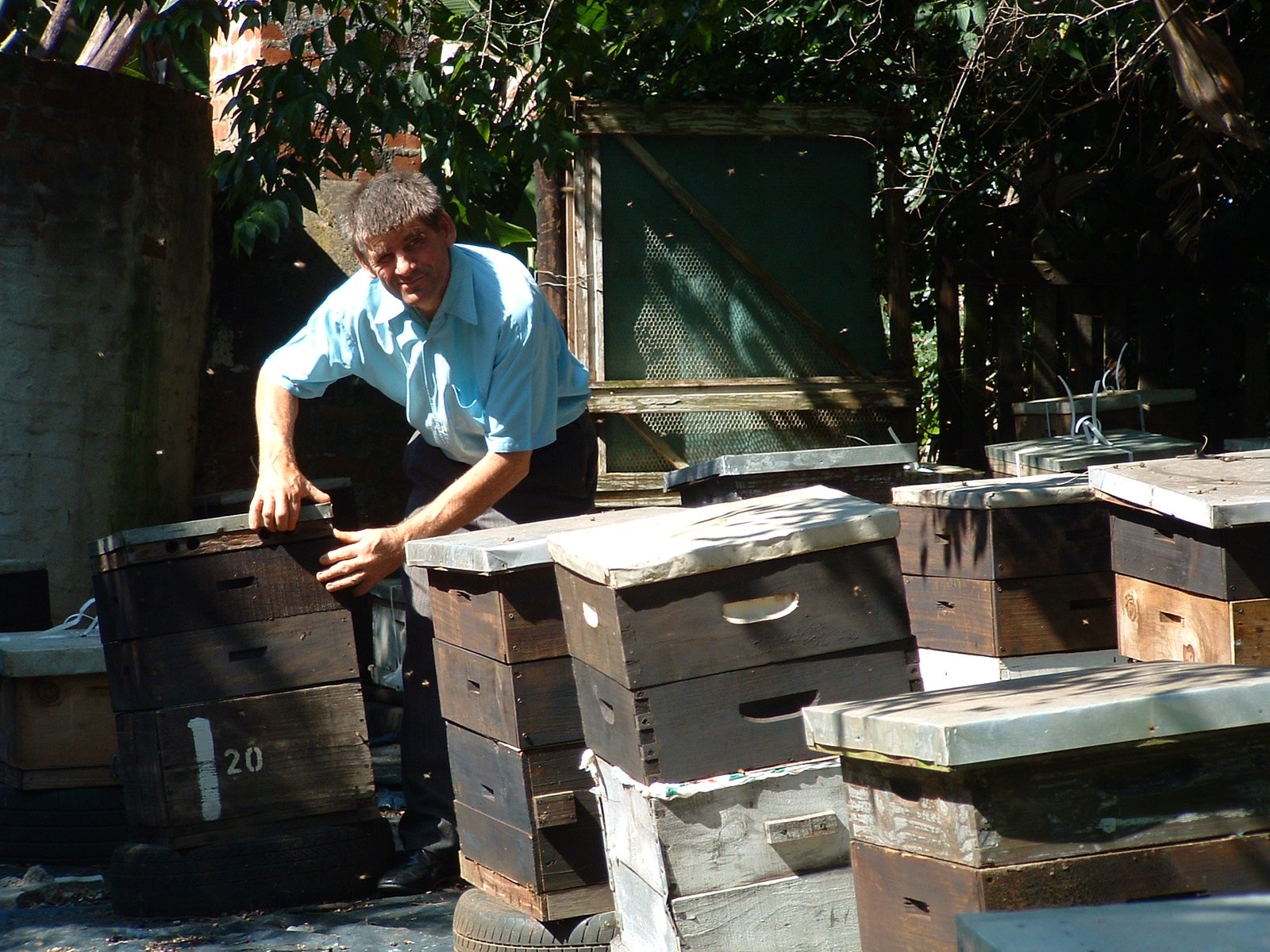 Beekeeper inspecting a hive in KwaZulu-Natal, South Africa