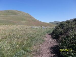 Fila de colmenas en un apiario al aire libre durante la temporada de primavera