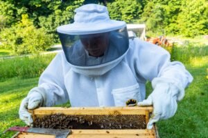 A beekeeper in full protective gear tending to a backyard beehive, similar to setups regulated under California apiary law