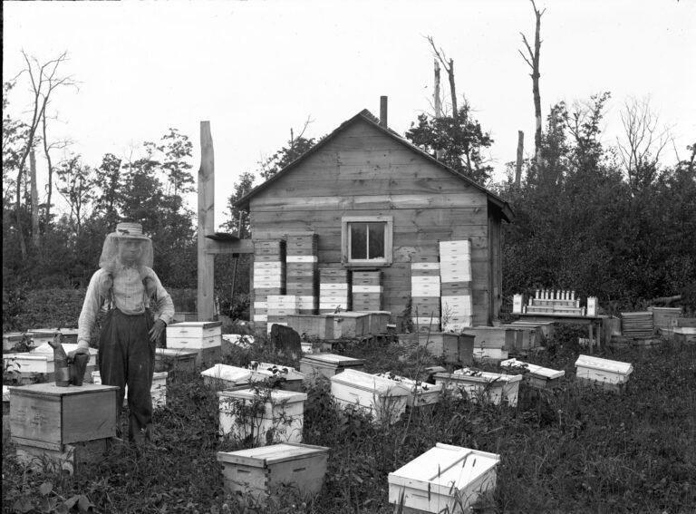 A historical photograph of a beekeeper standing among his hives, a reminder that an apiary is a living legacy that needs a plan for who continues caring for it.