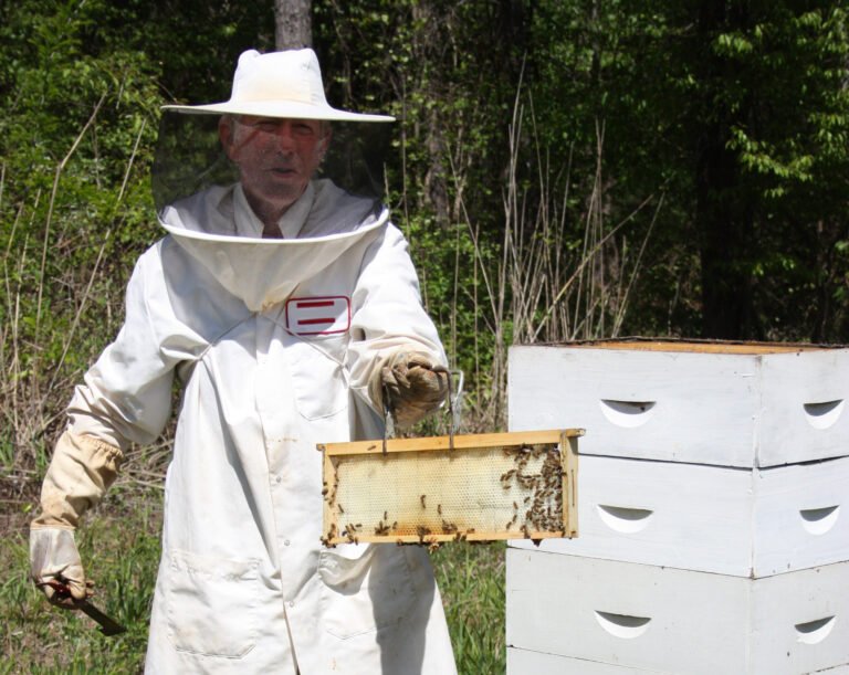 A beekeeper wearing full protective clothing near an active hive, the kind of precaution that reduces the risk of a sting-related emergency room visit.