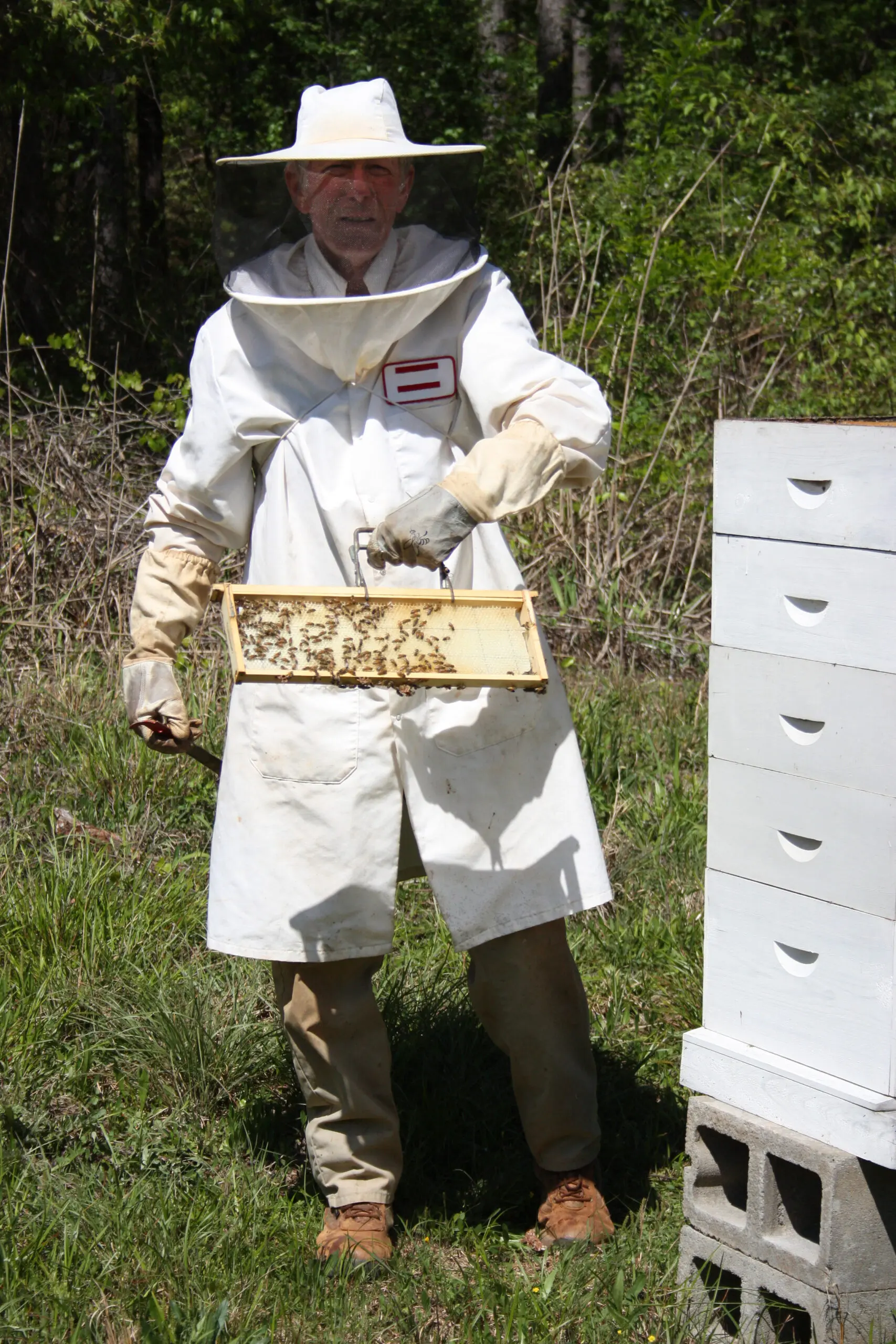 A beekeeper in protective gear tending hives, the kind of everyday backyard beekeeping this ranking compares across US cities by hive limits, permitting burden, and cost.