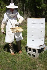 A beekeeper in full protective clothing, the kind of gear-focused equipment that makes a thoughtful, practical gift for beekeepers at every stage.