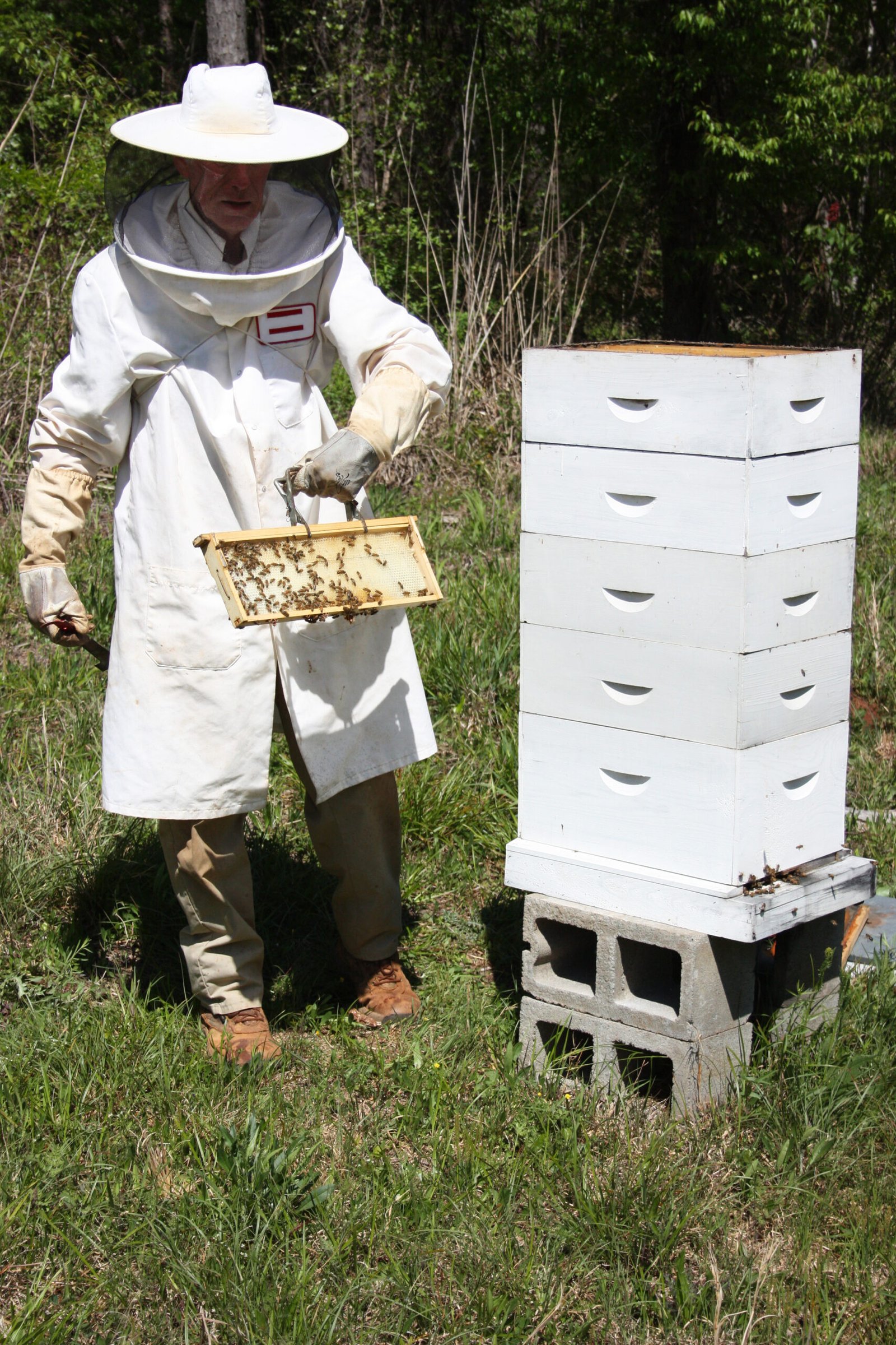 A beekeeper in full protective clothing, the kind of gear-focused equipment that makes a thoughtful, practical gift for beekeepers at every stage.
