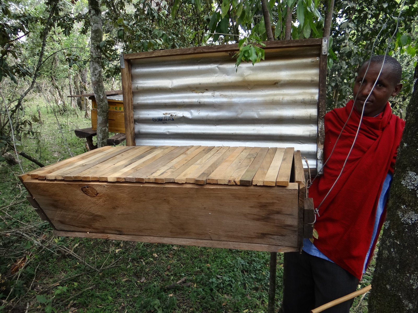 Sustainable beekeeping livelihoods project in Transmara, Kenya