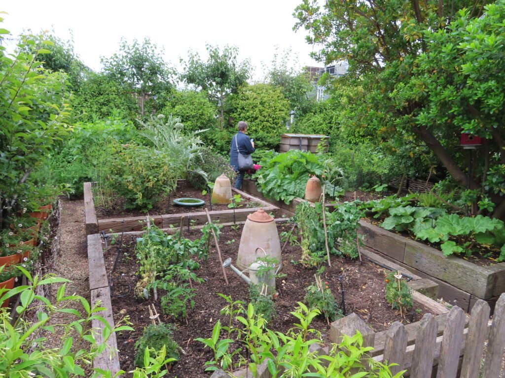 Rooftop vegetable garden and beehives at London's Ham Yard Hotel