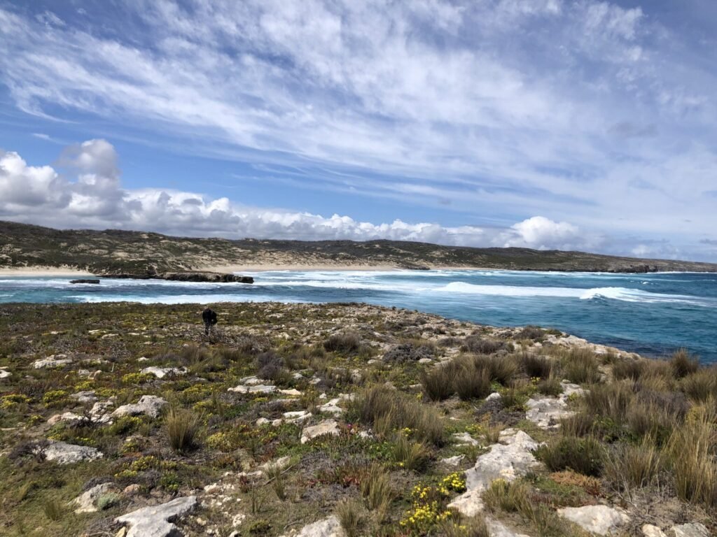 Coastal view of Hanson Bay on Kangaroo Island, the sea barrier that has helped keep the island's bees varroa-free